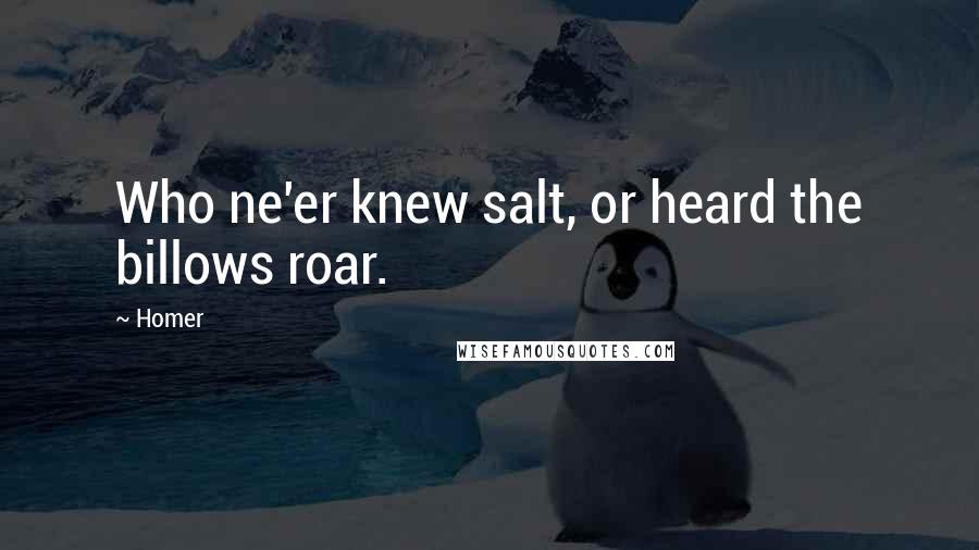 Homer Quotes: Who ne'er knew salt, or heard the billows roar.