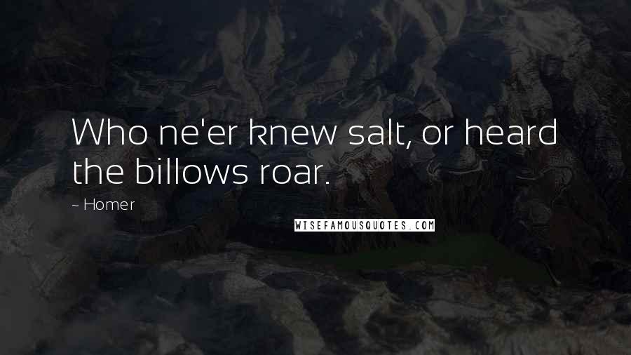 Homer Quotes: Who ne'er knew salt, or heard the billows roar.