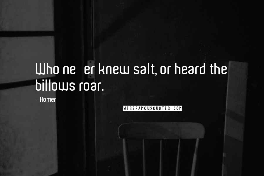 Homer Quotes: Who ne'er knew salt, or heard the billows roar.