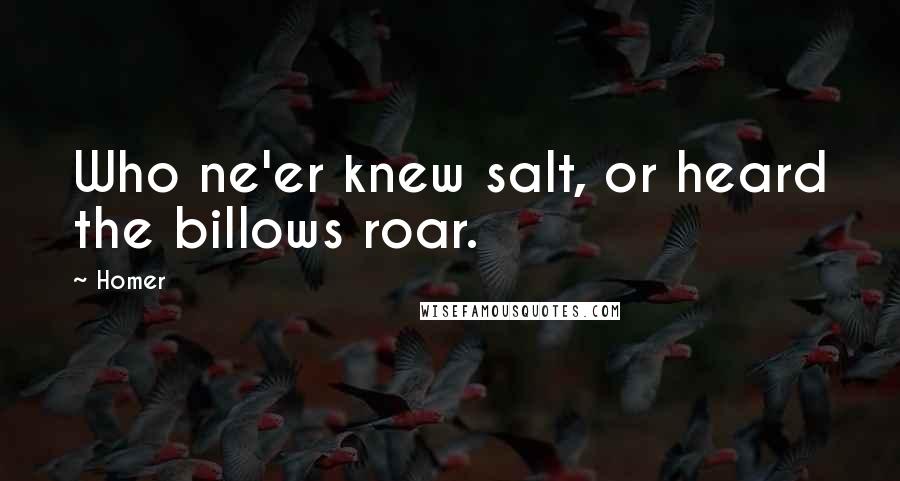 Homer Quotes: Who ne'er knew salt, or heard the billows roar.