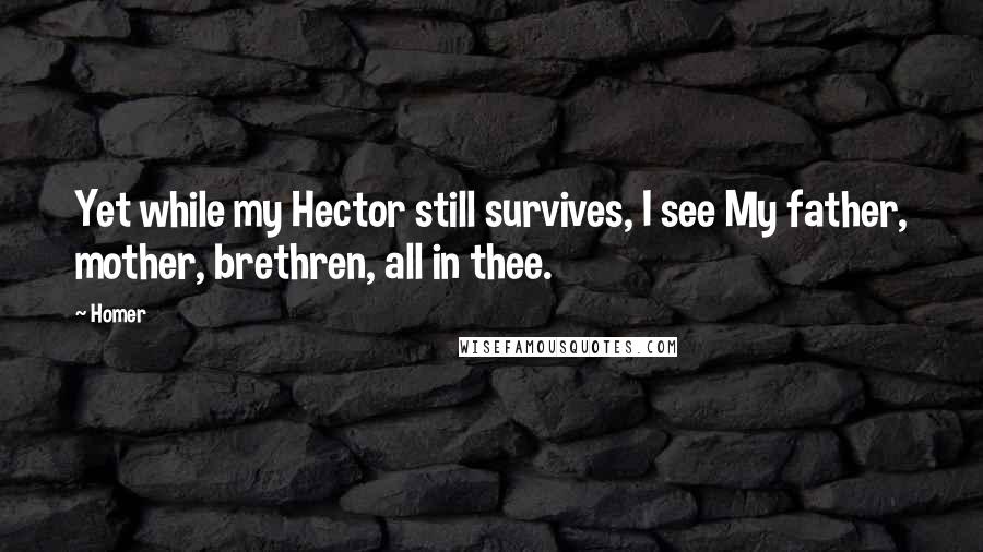 Homer Quotes: Yet while my Hector still survives, I see My father, mother, brethren, all in thee.