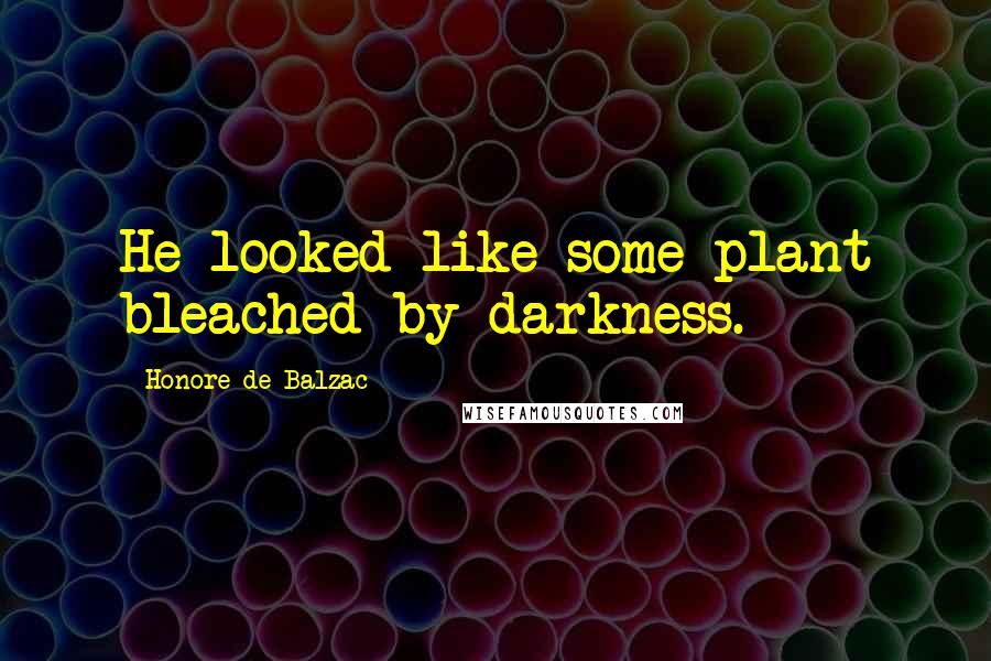 Honore De Balzac Quotes: He looked like some plant bleached by darkness.