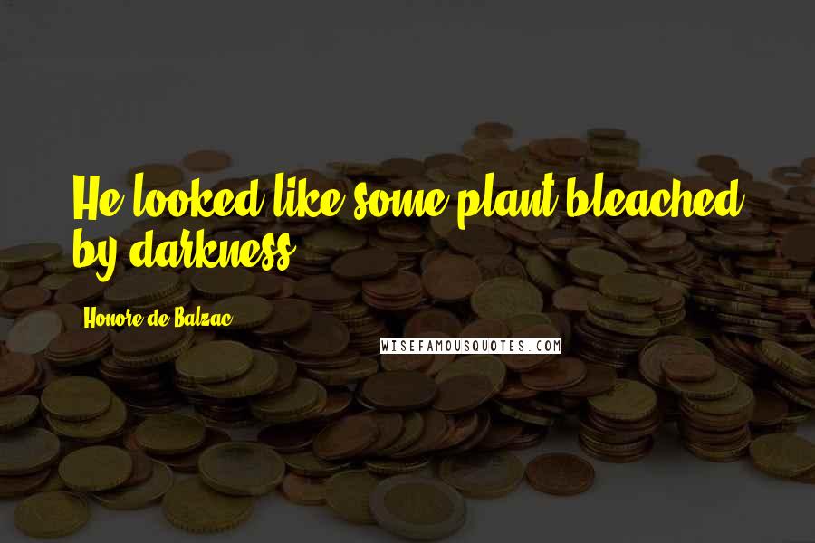 Honore De Balzac Quotes: He looked like some plant bleached by darkness.