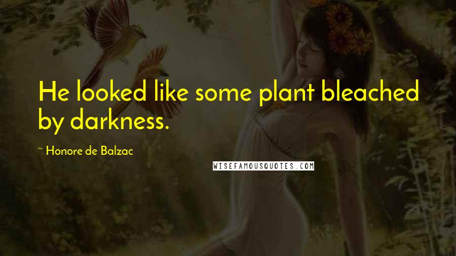 Honore De Balzac Quotes: He looked like some plant bleached by darkness.