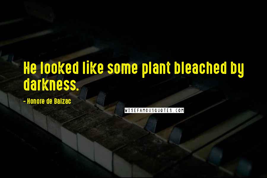 Honore De Balzac Quotes: He looked like some plant bleached by darkness.