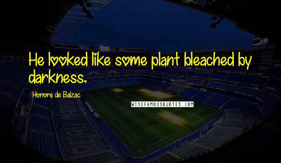 Honore De Balzac Quotes: He looked like some plant bleached by darkness.