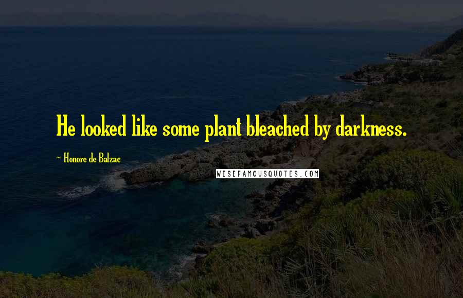 Honore De Balzac Quotes: He looked like some plant bleached by darkness.