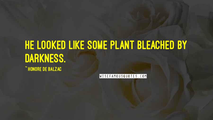 Honore De Balzac Quotes: He looked like some plant bleached by darkness.