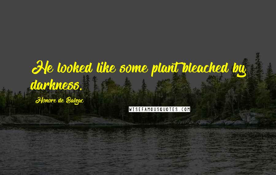 Honore De Balzac Quotes: He looked like some plant bleached by darkness.