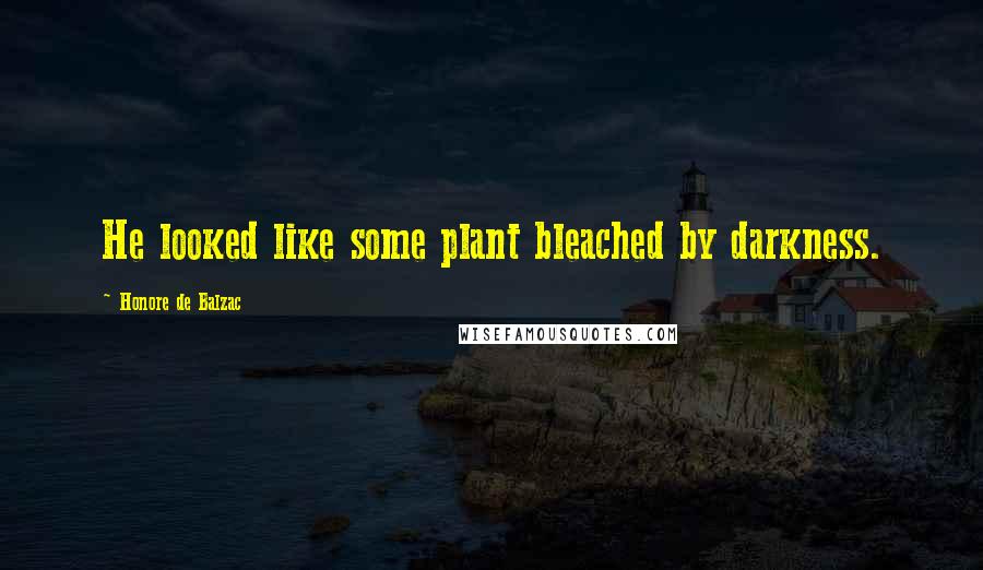 Honore De Balzac Quotes: He looked like some plant bleached by darkness.