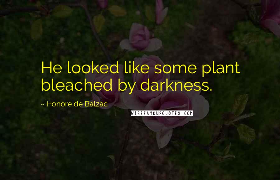 Honore De Balzac Quotes: He looked like some plant bleached by darkness.