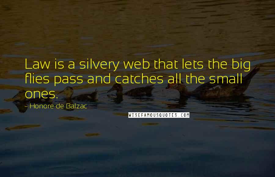 Honore De Balzac Quotes: Law is a silvery web that lets the big flies pass and catches all the small ones.