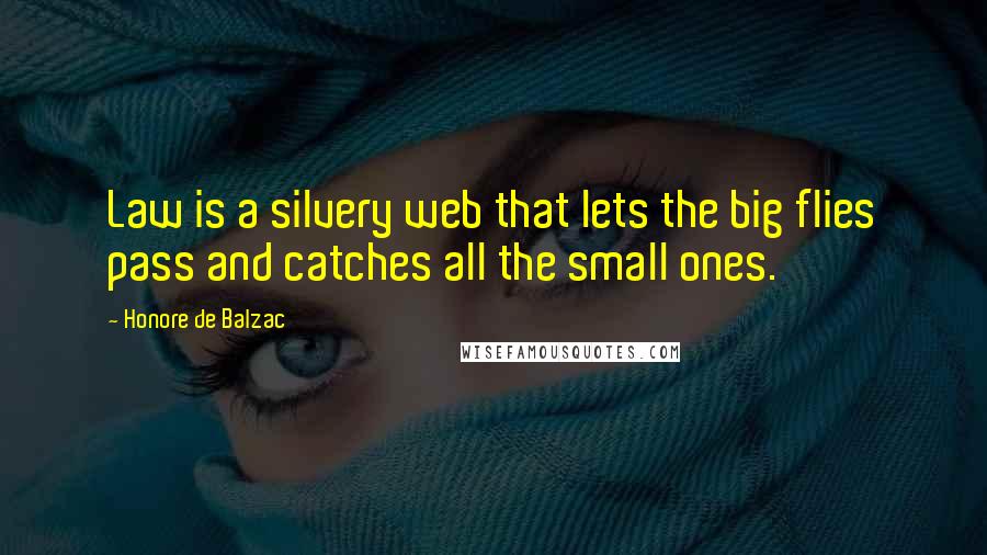 Honore De Balzac Quotes: Law is a silvery web that lets the big flies pass and catches all the small ones.