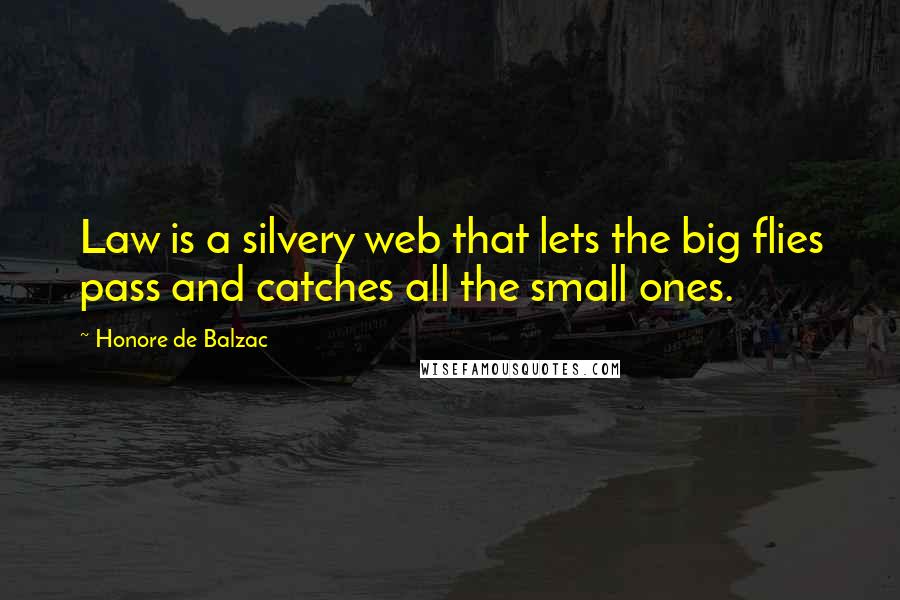 Honore De Balzac Quotes: Law is a silvery web that lets the big flies pass and catches all the small ones.