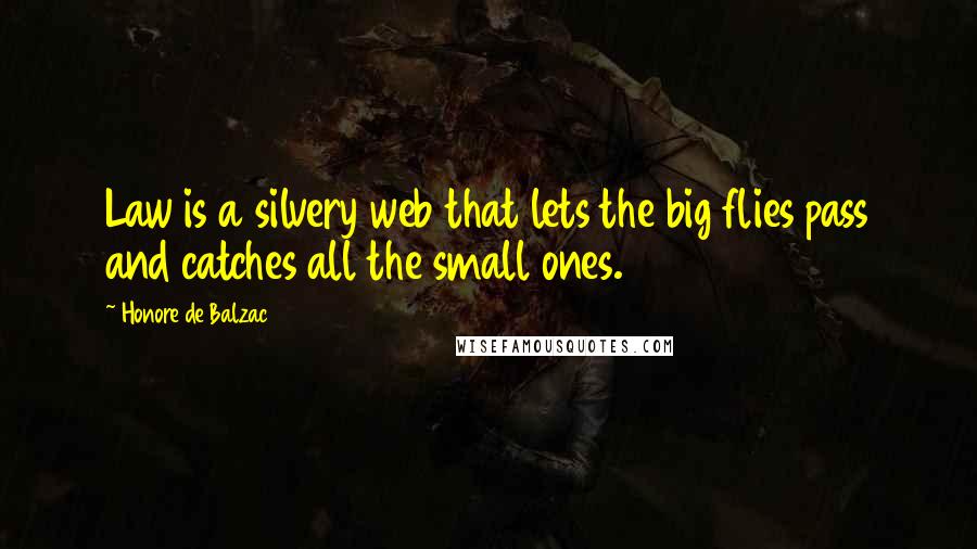 Honore De Balzac Quotes: Law is a silvery web that lets the big flies pass and catches all the small ones.
