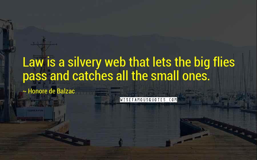 Honore De Balzac Quotes: Law is a silvery web that lets the big flies pass and catches all the small ones.