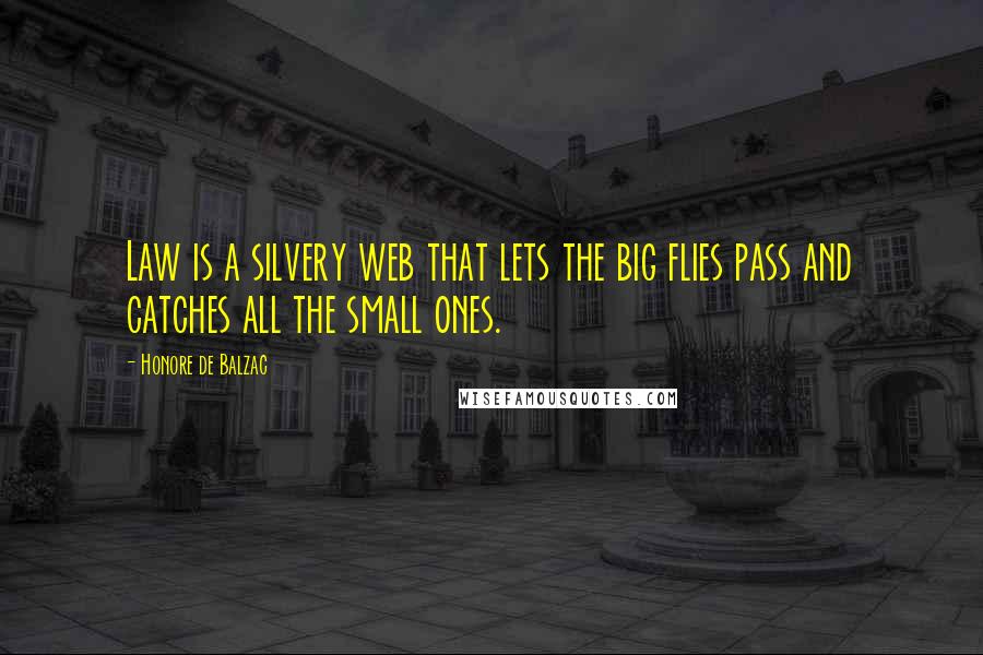 Honore De Balzac Quotes: Law is a silvery web that lets the big flies pass and catches all the small ones.