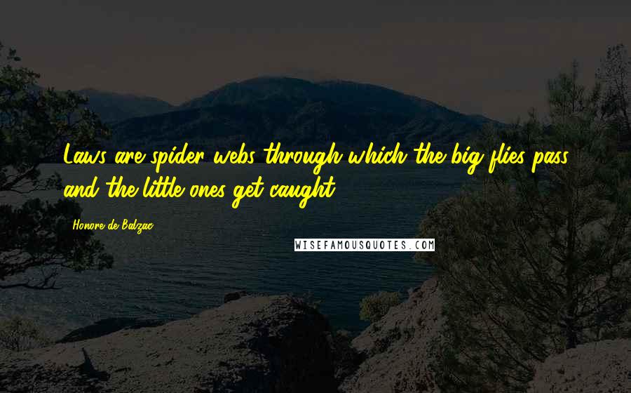 Honore De Balzac Quotes: Laws are spider webs through which the big flies pass and the little ones get caught.