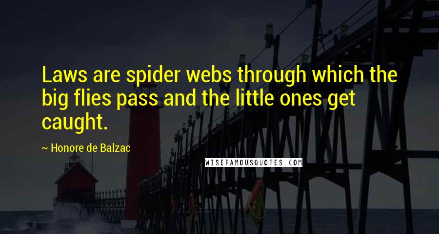 Honore De Balzac Quotes: Laws are spider webs through which the big flies pass and the little ones get caught.