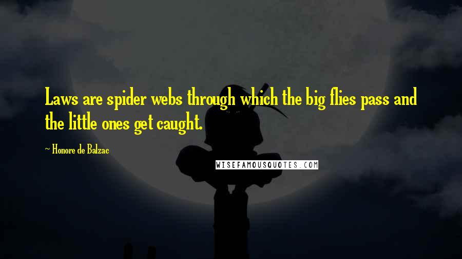 Honore De Balzac Quotes: Laws are spider webs through which the big flies pass and the little ones get caught.