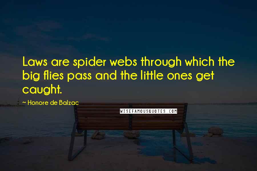 Honore De Balzac Quotes: Laws are spider webs through which the big flies pass and the little ones get caught.