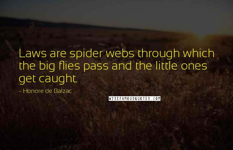 Honore De Balzac Quotes: Laws are spider webs through which the big flies pass and the little ones get caught.