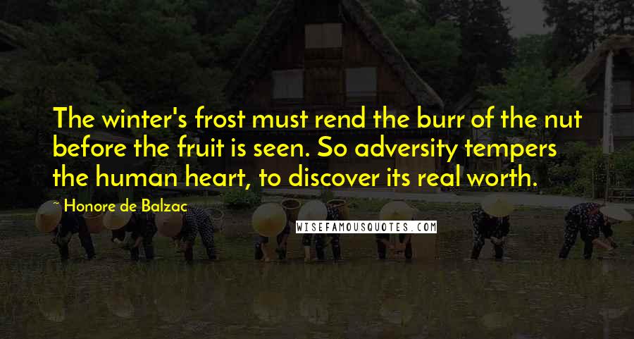 Honore De Balzac Quotes: The winter's frost must rend the burr of the nut before the fruit is seen. So adversity tempers the human heart, to discover its real worth.