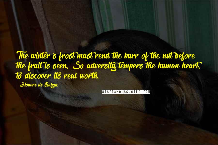 Honore De Balzac Quotes: The winter's frost must rend the burr of the nut before the fruit is seen. So adversity tempers the human heart, to discover its real worth.