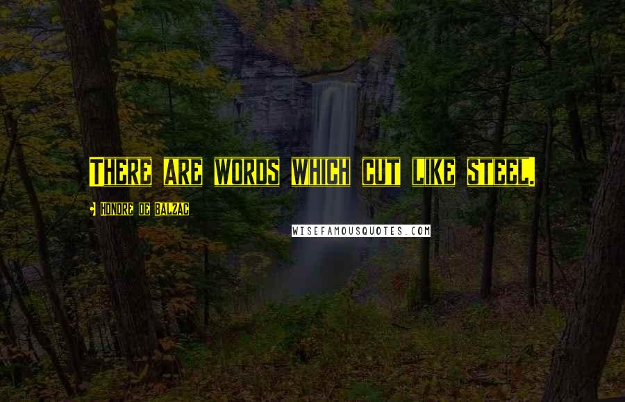 Honore De Balzac Quotes: There are words which cut like steel.