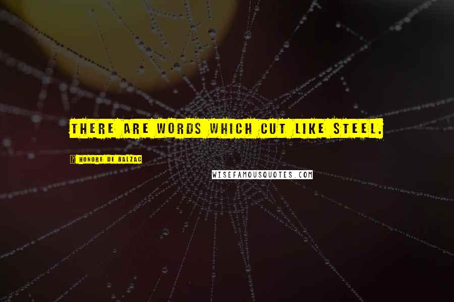 Honore De Balzac Quotes: There are words which cut like steel.