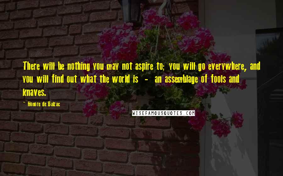 Honore De Balzac Quotes: There will be nothing you may not aspire to; you will go everywhere, and you will find out what the world is  -  an assemblage of fools and knaves.