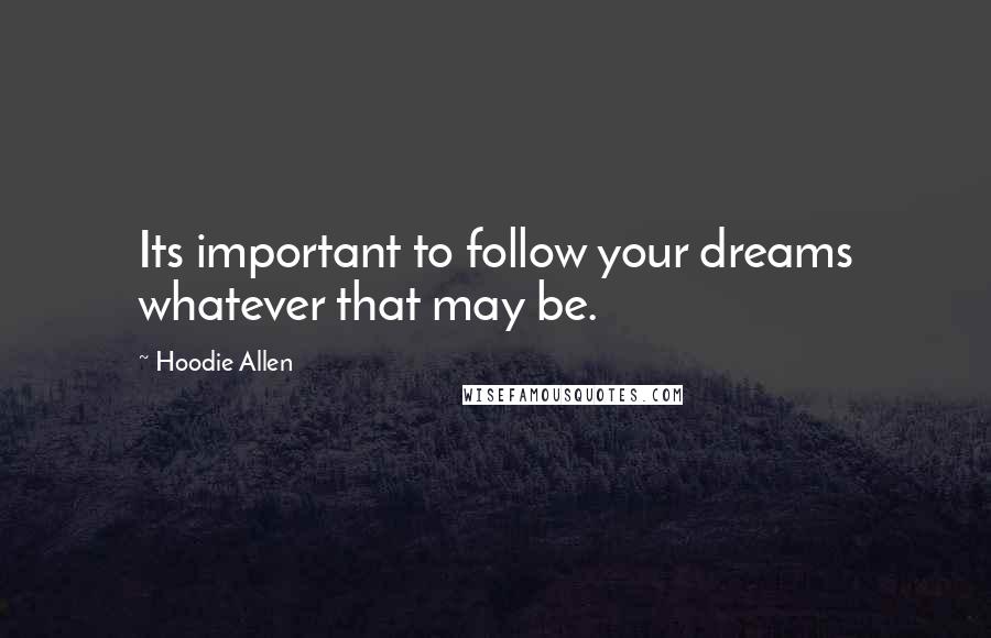 Hoodie Allen Quotes: Its important to follow your dreams whatever that may be.