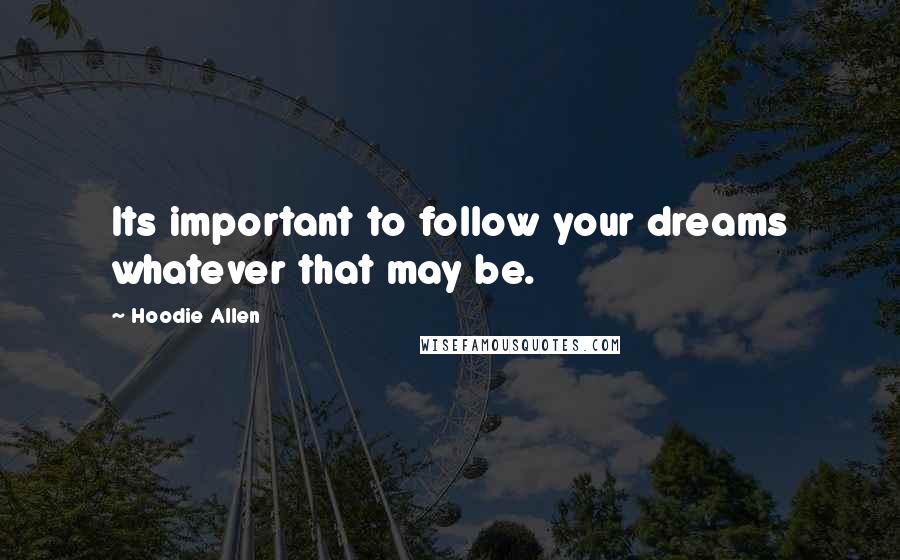Hoodie Allen Quotes: Its important to follow your dreams whatever that may be.