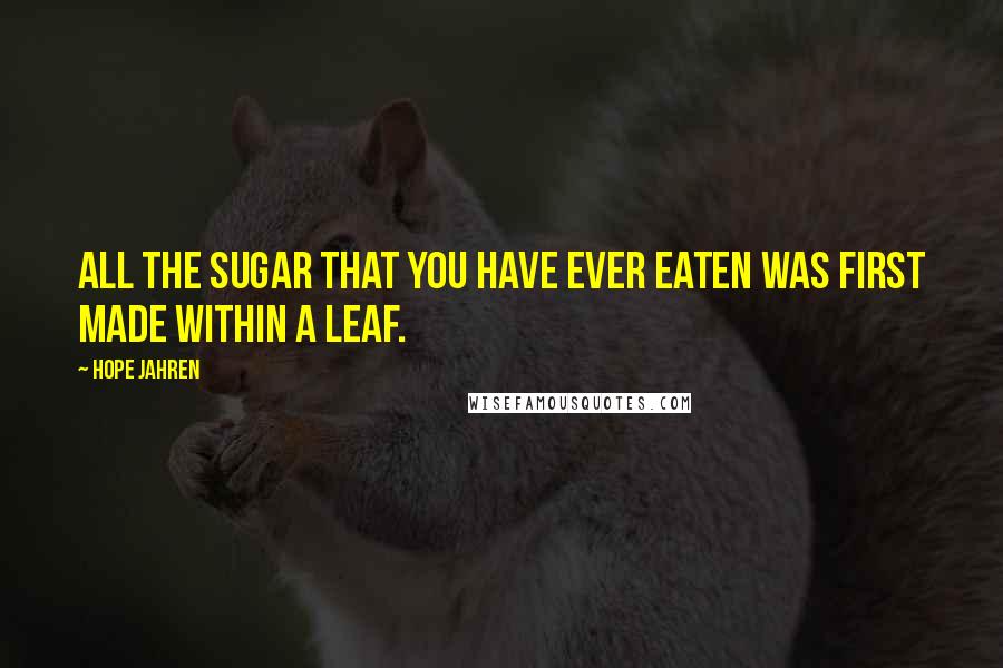 Hope Jahren Quotes: All the sugar that you have ever eaten was first made within a leaf.