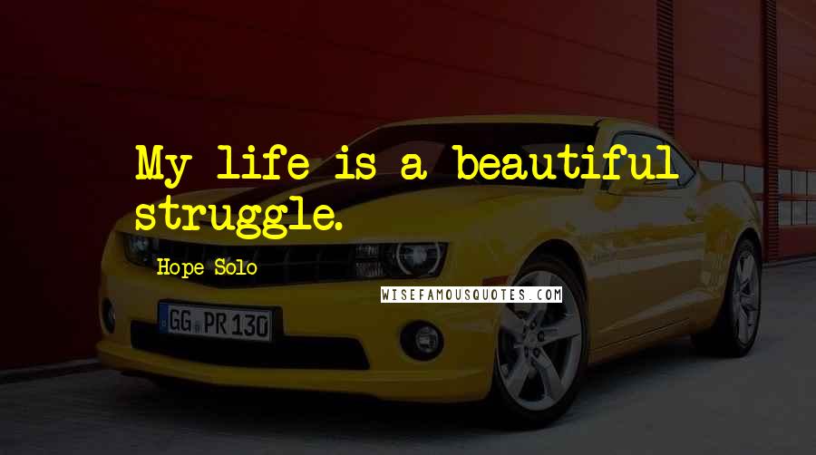 Hope Solo Quotes: My life is a beautiful struggle.