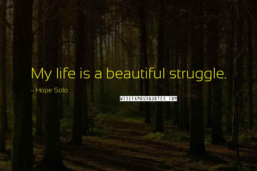 Hope Solo Quotes: My life is a beautiful struggle.