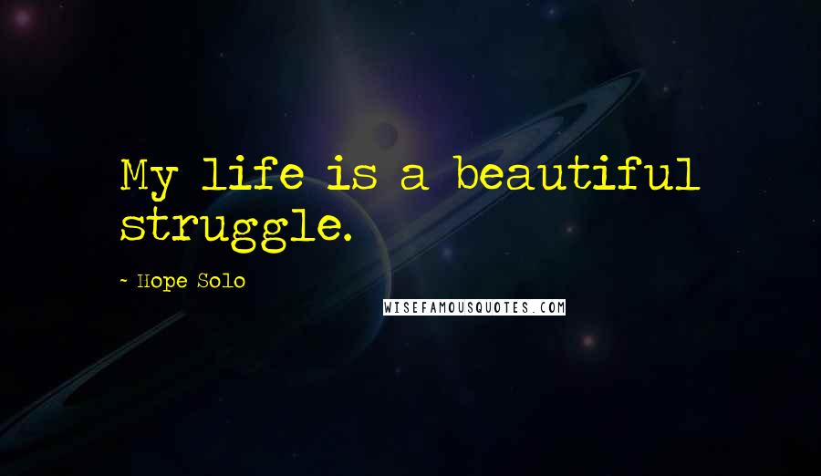 Hope Solo Quotes: My life is a beautiful struggle.