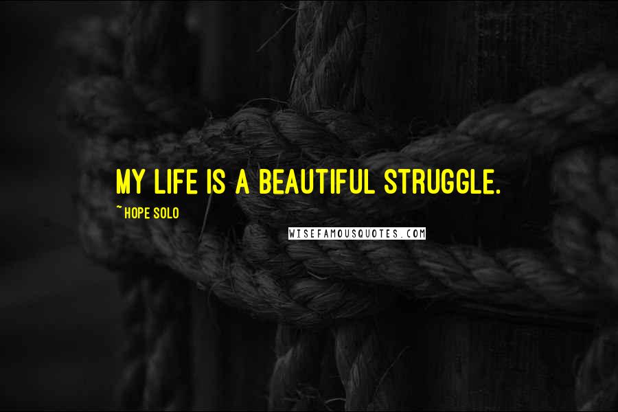 Hope Solo Quotes: My life is a beautiful struggle.