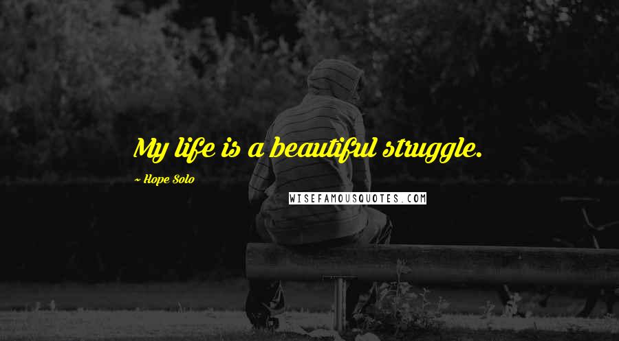 Hope Solo Quotes: My life is a beautiful struggle.