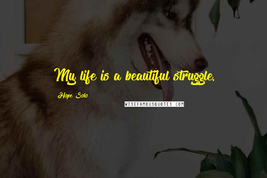 Hope Solo Quotes: My life is a beautiful struggle.