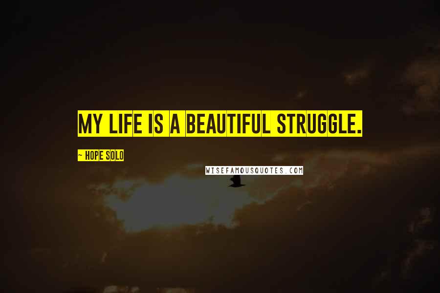 Hope Solo Quotes: My life is a beautiful struggle.