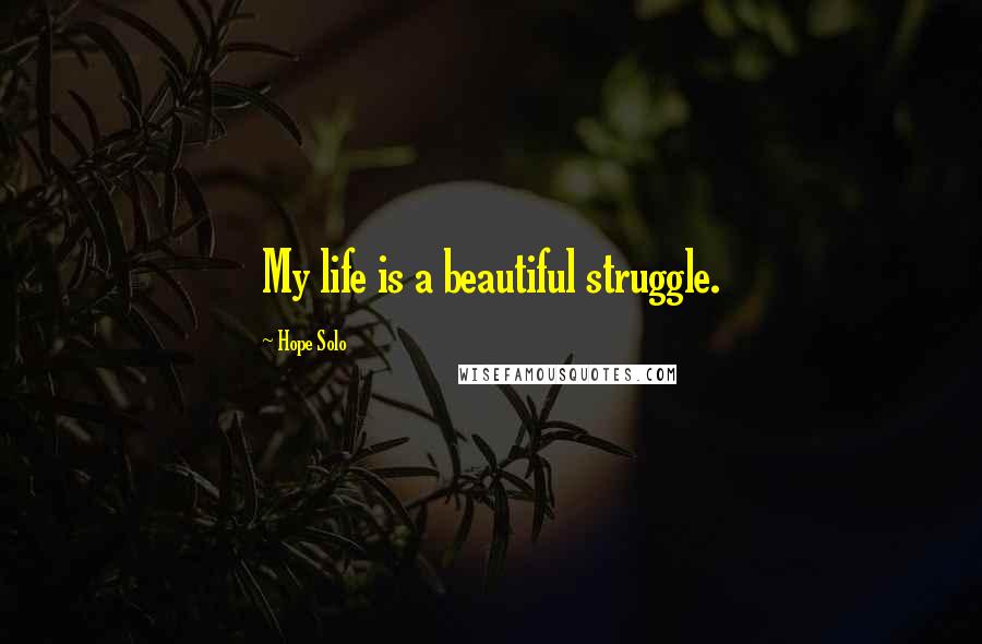 Hope Solo Quotes: My life is a beautiful struggle.