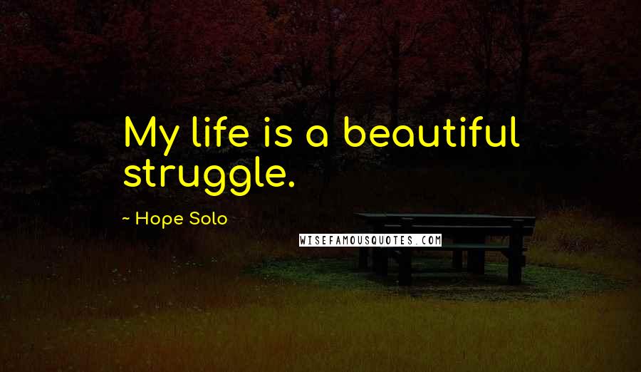 Hope Solo Quotes: My life is a beautiful struggle.