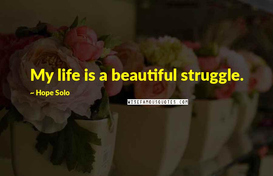 Hope Solo Quotes: My life is a beautiful struggle.