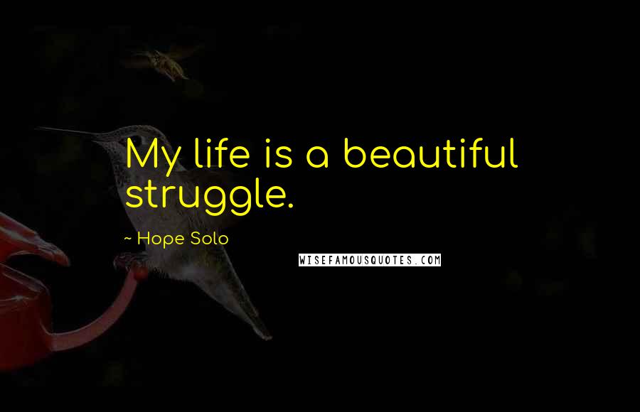 Hope Solo Quotes: My life is a beautiful struggle.