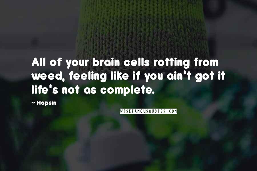 Hopsin Quotes: All of your brain cells rotting from weed, feeling like if you ain't got it life's not as complete.