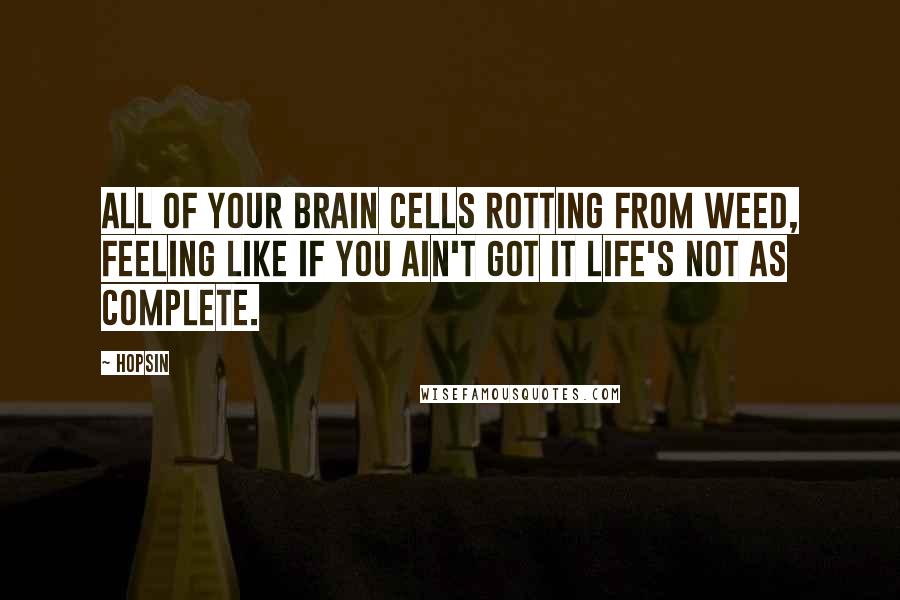 Hopsin Quotes: All of your brain cells rotting from weed, feeling like if you ain't got it life's not as complete.