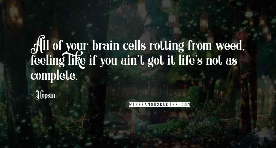 Hopsin Quotes: All of your brain cells rotting from weed, feeling like if you ain't got it life's not as complete.