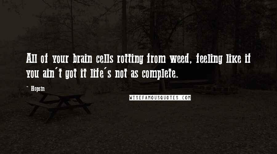 Hopsin Quotes: All of your brain cells rotting from weed, feeling like if you ain't got it life's not as complete.