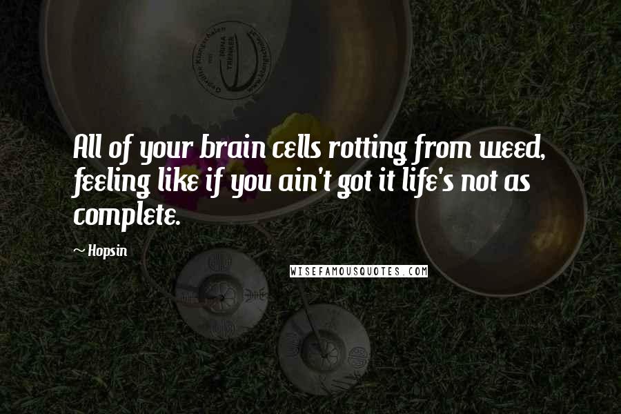 Hopsin Quotes: All of your brain cells rotting from weed, feeling like if you ain't got it life's not as complete.